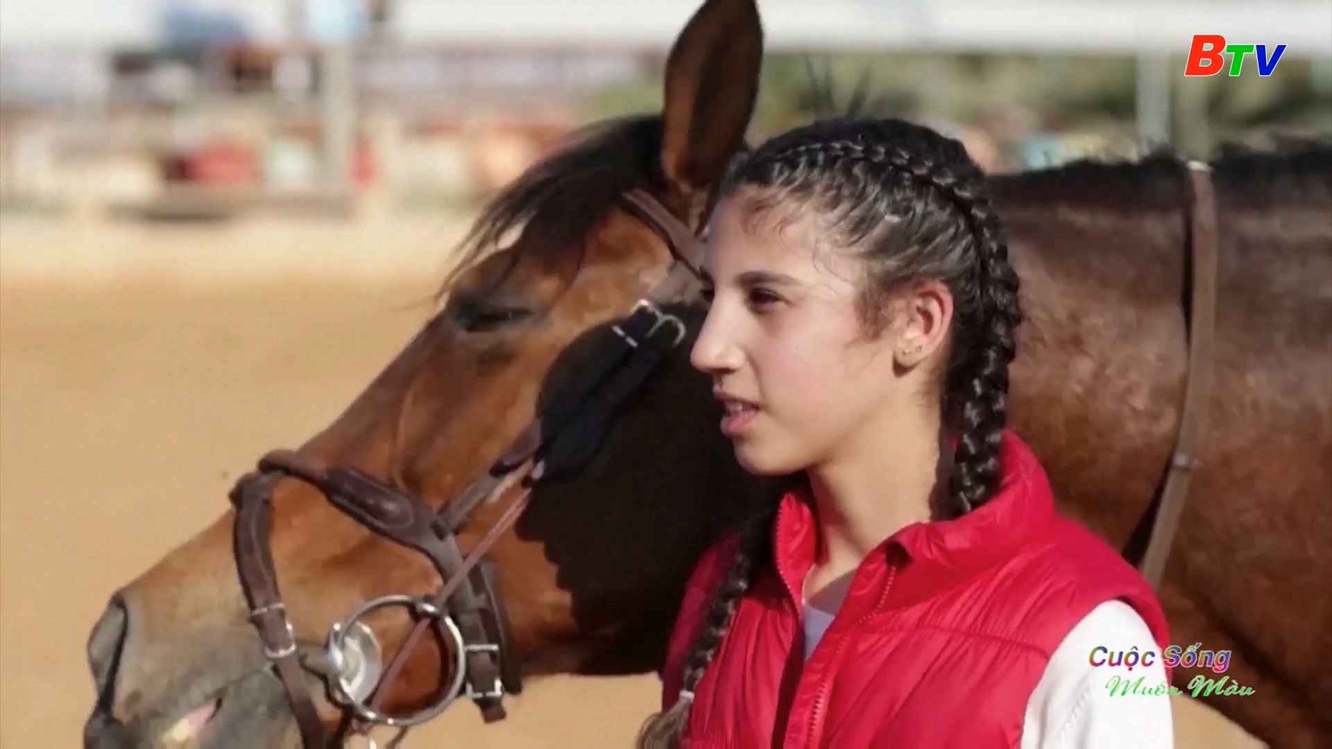 Bé gái Palestine ấp ủ giấc mơ trở thành nhà vô địch cưỡi ngựa